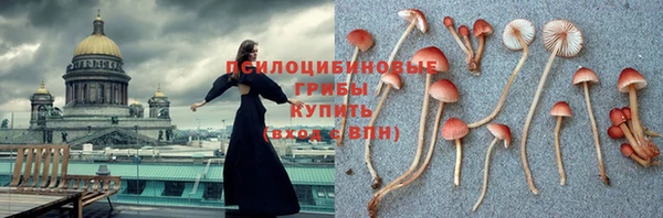 марки nbome Кукмор