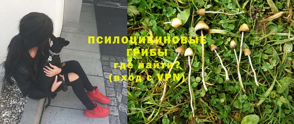 a pvp Куйбышев