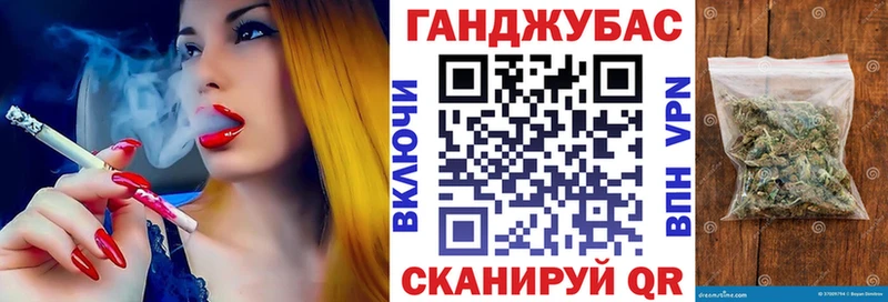 MEGA tor  Томари  Бошки Шишки ГИДРОПОН 